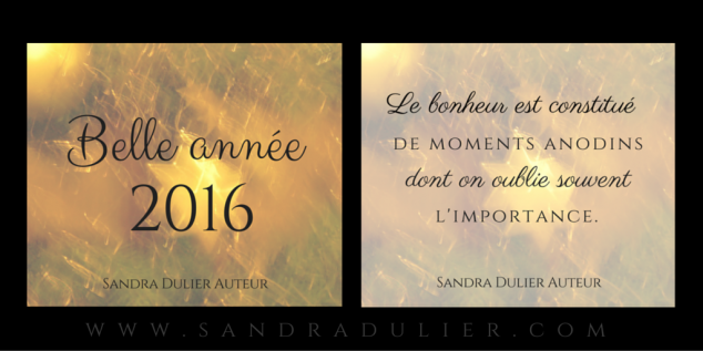 Bonne année 2016