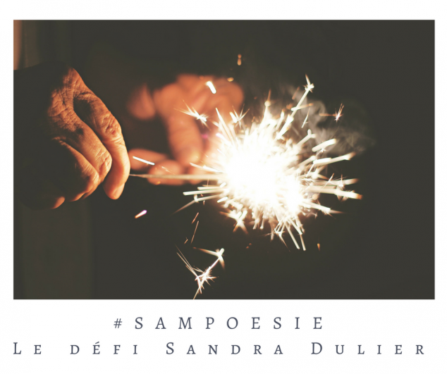 Defi sampoesie 10 12 2016