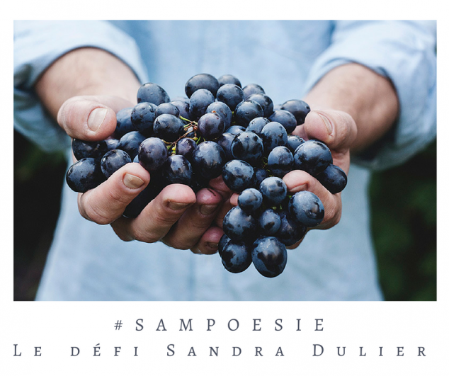 Défi Sampoésie du 15.10.2016 - atelier d'écriture - Sandra Dulier - Infos : http://www.sandradulier.com/blog/do/tag/sampoesie