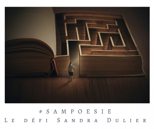 Defi sampoesie 22 10 2016