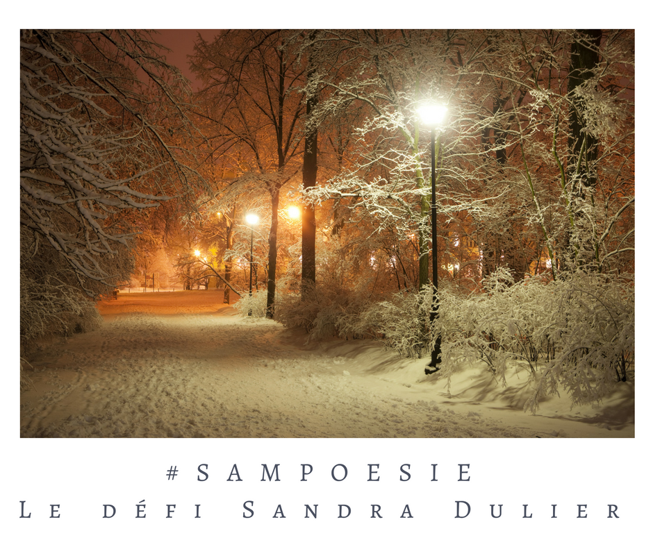 Défi sampoésie du 17.12.2016