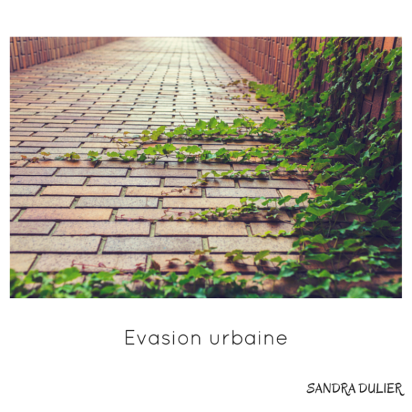 Evasion urbaine