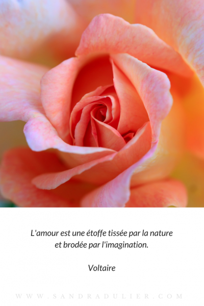 L'amour selon Voltaire - Mots d'amour - Citation - Saint-Valentin