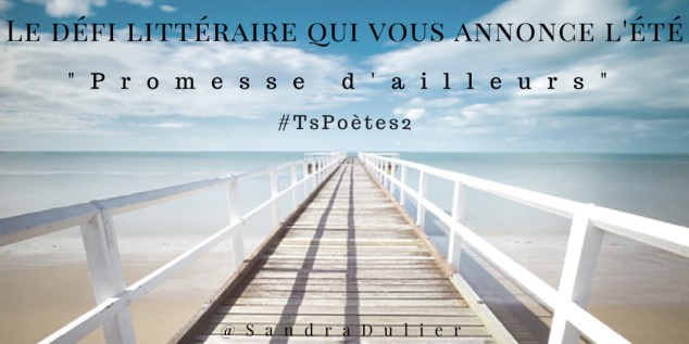 Découvrir le poème réalisé à partir des tweets proposés par les 24 participants de notre belle Francophonie pour le défi #TsPoètes2 sur http://www.sandradulier.com/blog/promesses-d-ailleurs-le-poeme-tspoetes2.html