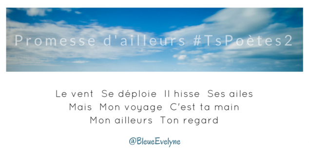 Tweet 2 - Découvrir le poème réalisé à partir des tweets proposés par les 24 participants de notre belle Francophonie pour le défi #TsPoètes2 sur http://www.sandradulier.com/blog/promesses-d-ailleurs-le-poeme-tspoetes2.html
