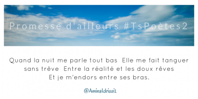 Tweet 45 -  Découvrir le poème réalisé à partir des tweets proposés par les 24 participants de notre belle Francophonie pour le défi #TsPoètes2 surhttp://www.sandradulier.com/blog/promesses-d-ailleurs-le-poeme-tspoetes2.html 