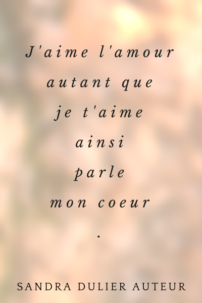 J'aime l'amour