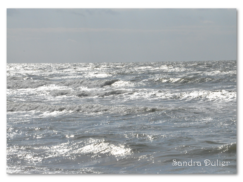 Le mois d'août en septembre : entre Ostende et poésie