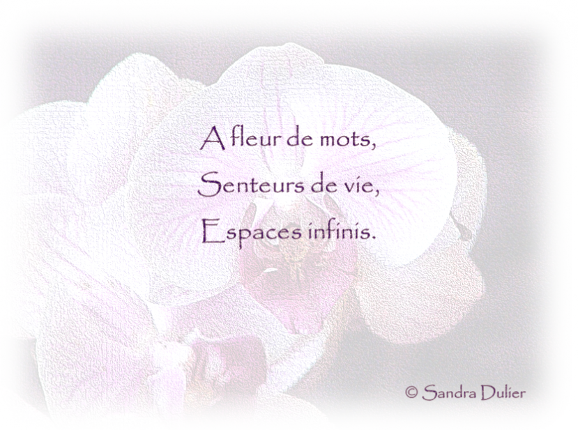 A fleur de mots