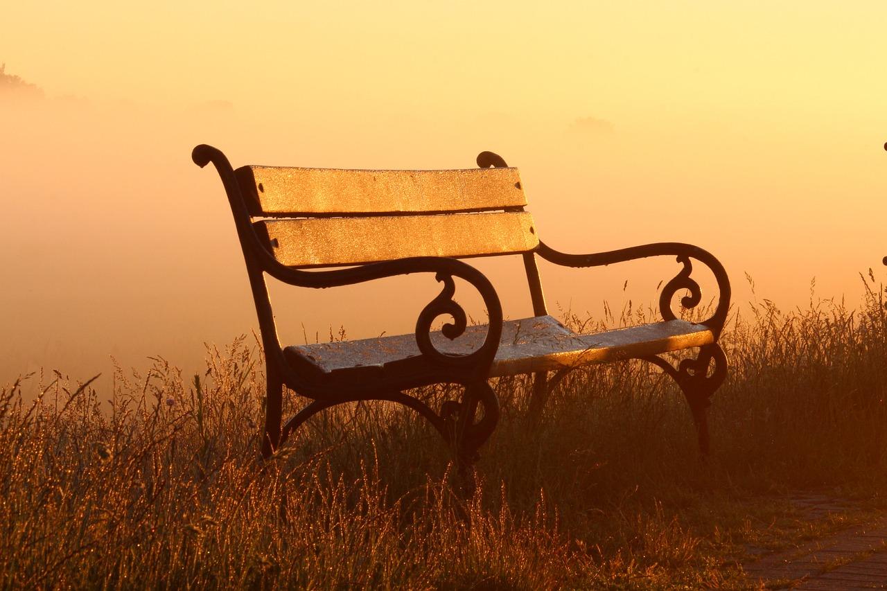 Banc paysage matin