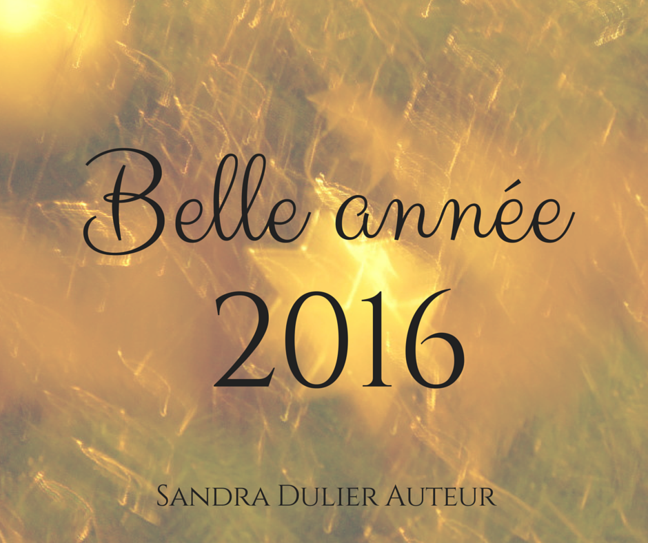 Une très belle année 2016  - Sandra Dulier Auteur