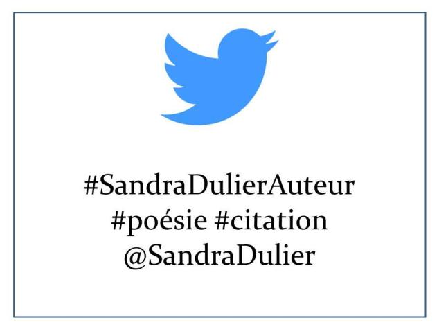 Carte visite twitter sandra dulier