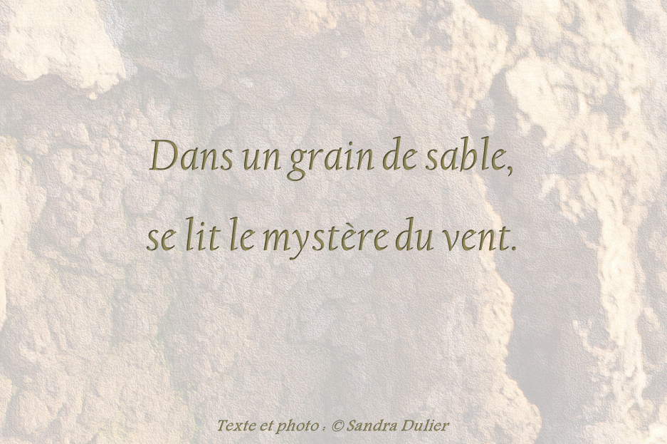 dans-un-grain-de-sable.png