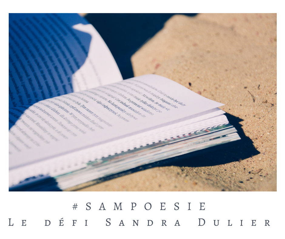 Que vous inspire cette photo ? A vos poèmes #Sampoésie. Livre, plage, été, sable.