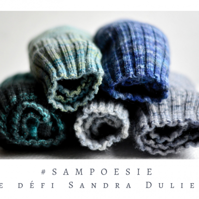Defi sampoesie 02 11 2019