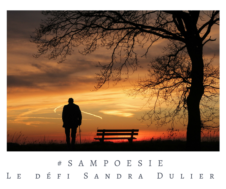 Que vous inspire cette photo ? A vos poèmes #Sampoésie. #banc #homme #vieillesse #soir #crépucsule #écrire #poésie.