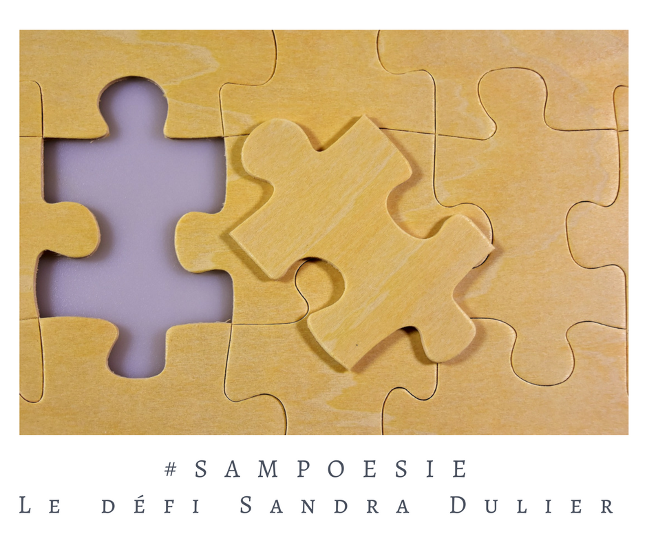 Que vous inspire cette photo ? A vos poèmes #Sampoésie. #puzzle #jeu #pièce #association #vie #écrire #poésie.