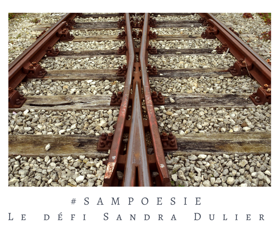 Que vous inspire cette photo ? A vos poèmes #Sampoésie. #inspiration  #rails #choix #objectifs #2018  #écrire #poésie.