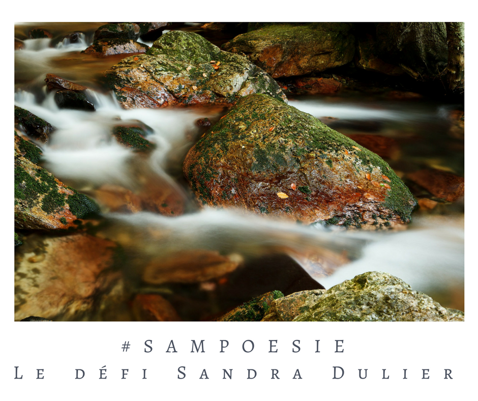 Que vous inspire cette photo ? A vos poèmes #Sampoésie. Rivière, eau, flou, vert, brun, automne, octobre, écrire, poésie.