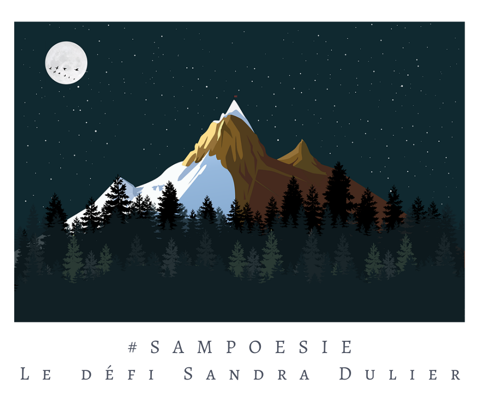 Illustration poétique d’une montagne enneigée sous un ciel étoilé, avec une pleine lune et un vol d’oiseaux en silhouette. Image symbolisant le défi littéraire #Sampoésie, animé par Sandra Dulier.