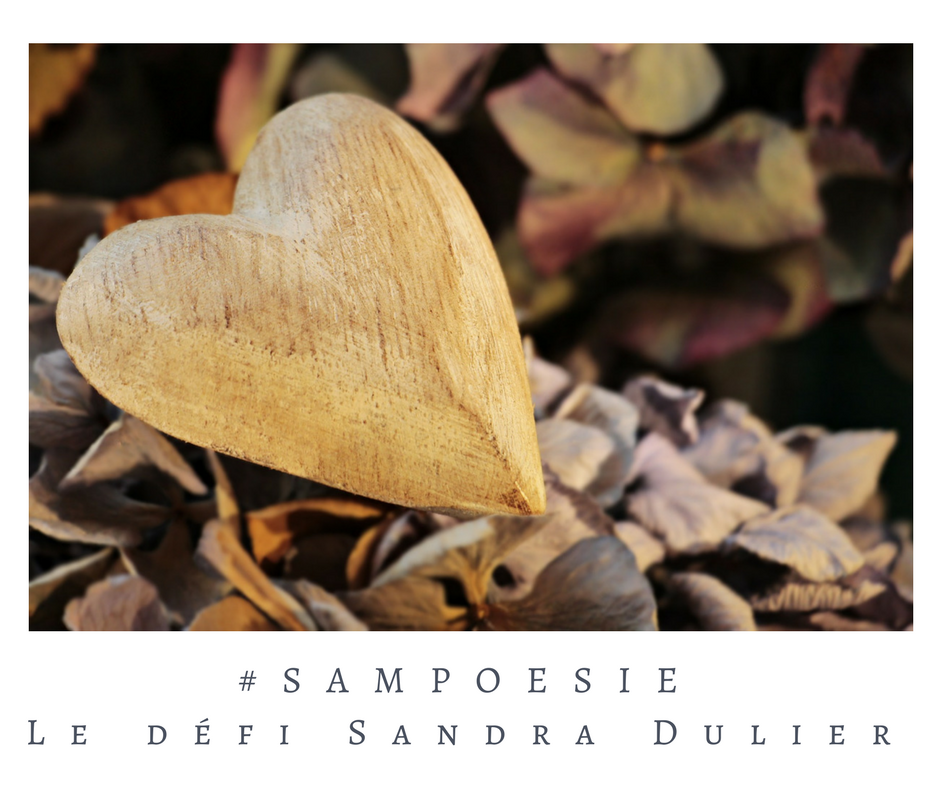 Que vous inspire cette photo ? A vos poèmes #Sampoésie. #inspiration  #saintvalentin #coeur #bois #écrire #poésie.