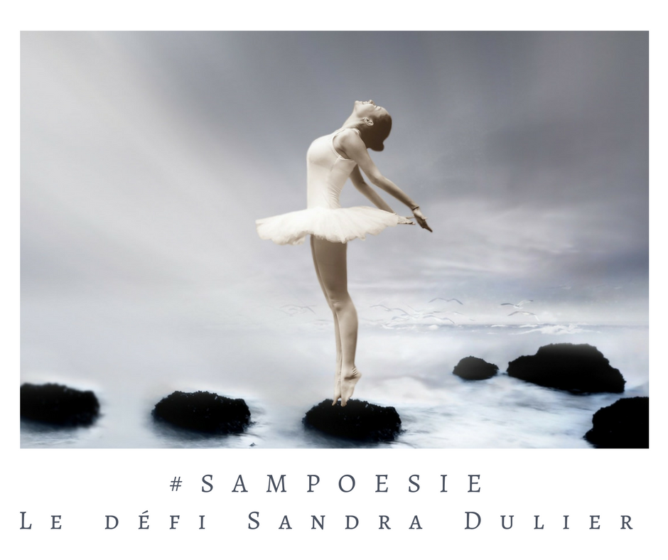 Que vous inspire cette photo ? A vos poèmes #Sampoésie. #femme #danse #tutu #mer #équilibre #écrire #poésie.