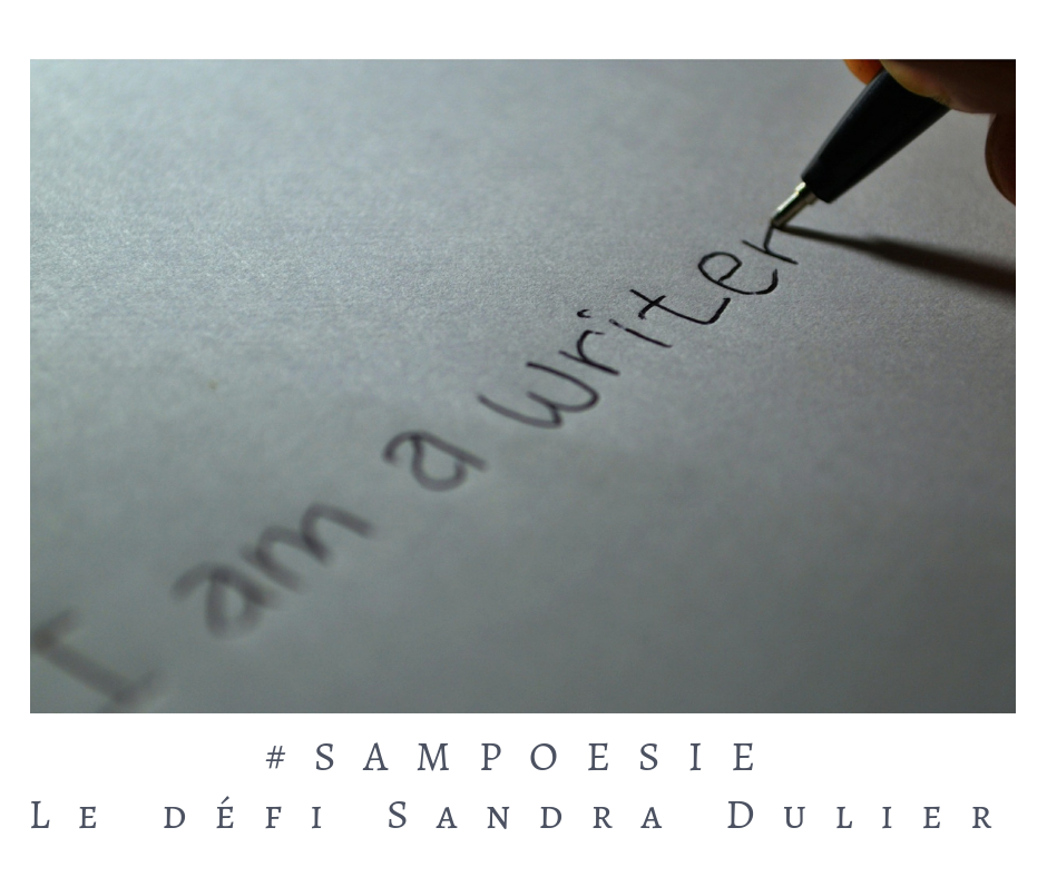 Que vous inspire cette photo ? Stylo, papier, écrire,  auteur. "I am a writer." 