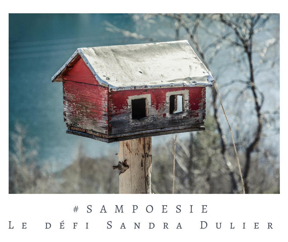 Que vous inspire cette photo ? A vos poèmes #Sampoésie. #inspiration  #maison #nichoir #hiver #mangeoire  #écrire #poésie.