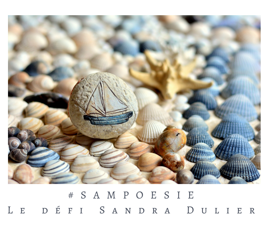 Illustration marine montrant un galet peint d'un voilier posé parmi des coquillages multicolores et une étoile de mer. Image symbolisant le défi littéraire #Sampoésie, animé par Sandra Dulier.