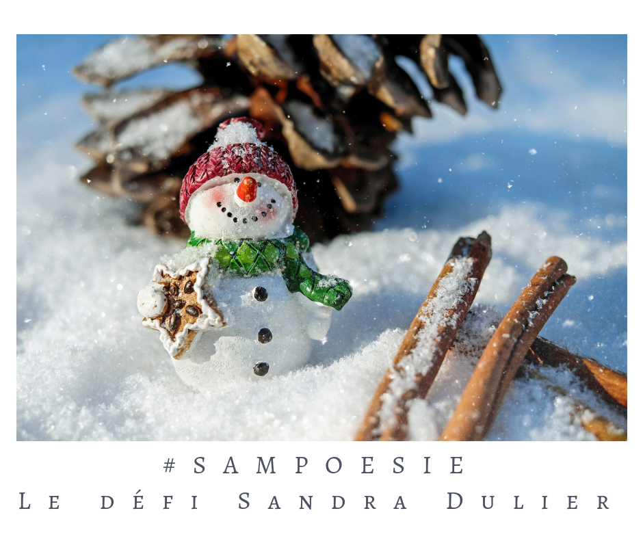 Que vous inspire cette photo ? A vos poèmes #Sampoésie. #bonhomme #noël #neige #hiver # #décembre #écrire