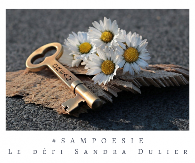 Defi sampoesie 