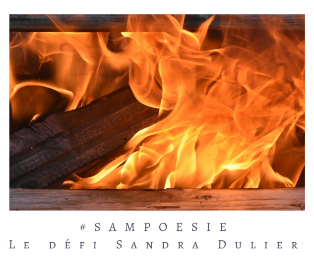 Defi sampoesie 16 11 2019