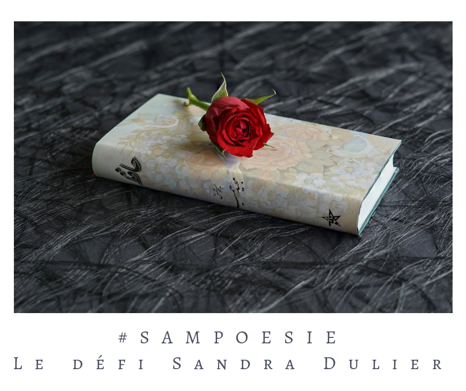 Que vous inspire cette photo ? A vos poèmes #Sampoésie. #rose #livre #romantique #noir #rouge # #poésie #écrire