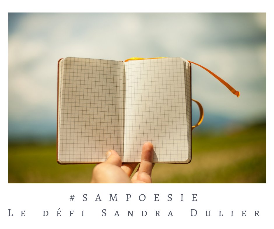 Que vous inspire cette photo ? A vos poèmes #Sampoésie. #bullet #bujo #carnet #journal #poésie #écrire