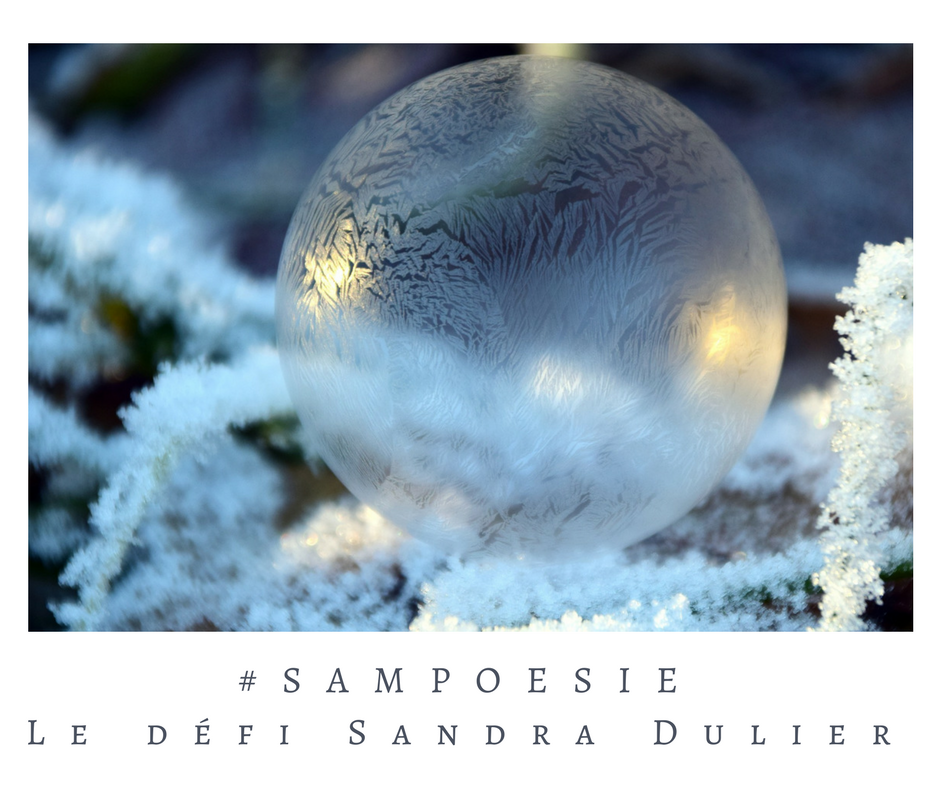 Que vous inspire cette photo ? A vos poèmes #Sampoésie. #inspiration  #boule #hiver #nature #neige #nuit #blanc #bulle #savon #écrire #poésie.