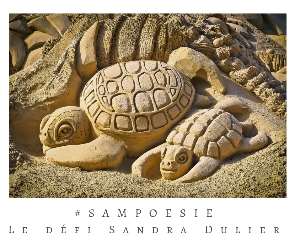 Que vous inspire cette photo ? poésie, tortue, sable, sculpture, plage, été, art