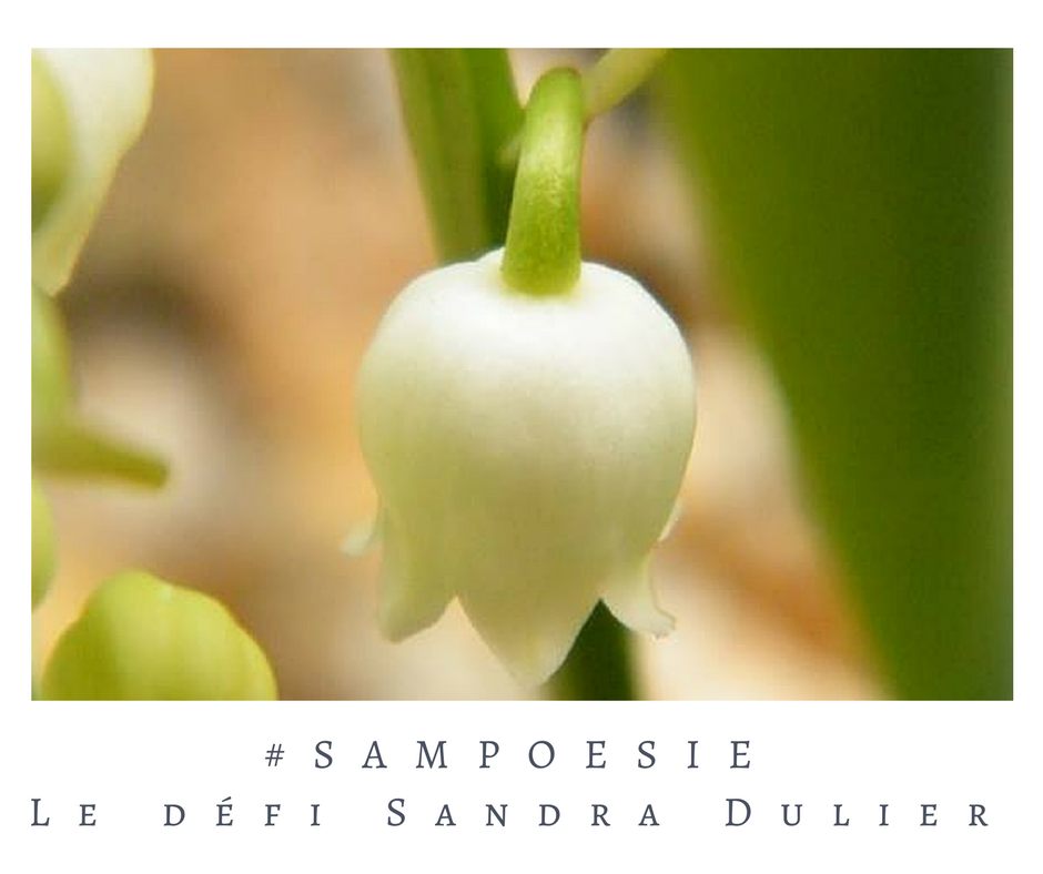 Un défi littéraire…  écrire un poème #Sampoésie. Muguet, macro, mai.
