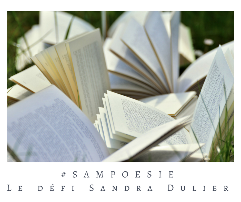 Que vous inspire cette photo ? A vos poèmes #Sampoésie. Livre, herbe, vent, écrire, poésie.