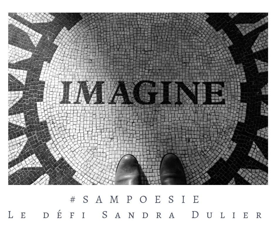 Que vous inspire cette photo ? A vos poèmes #Sampoésie. #janvier #imagine #nouvelleannée #noir #blanc # inspiration #écrire