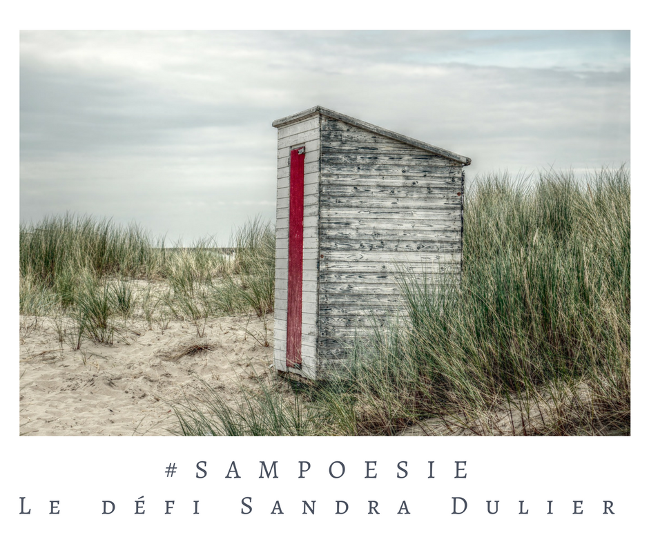 Que vous inspire cette photo ? A vos poèmes #Sampoésie. Cabine de bains, plage, mer, dune, Nord, automne, octobre, écrire, poésie.