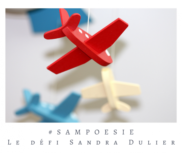 Defi sampoesie 16 11 2019