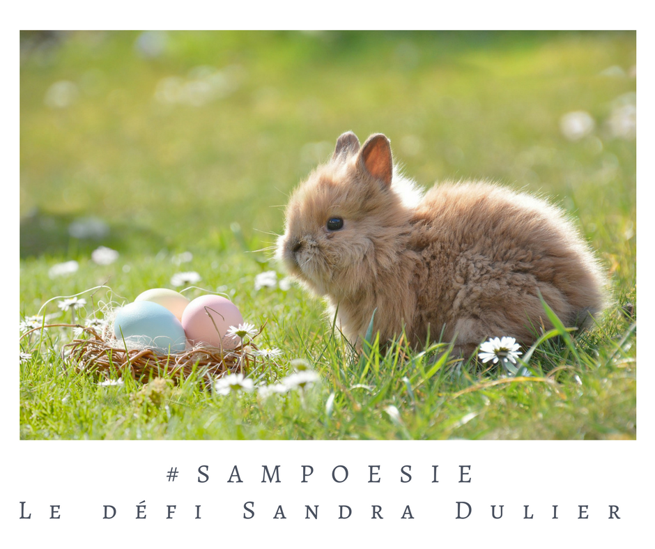 Que vous inspire cette photo ? A vos poèmes #Sampoésie. #photo #lapin #oeuf #Pâques #printemps # #écrire #poésie.