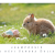 Appel à textes Sampoésie du 31.03.2018 : à vos plumes !