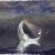 La poésie de la semaine : Ondine