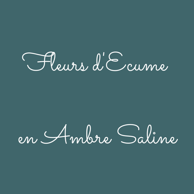 Atelier d'écriture Fleurs d'Ecume en Ambre Saline à Charleroi