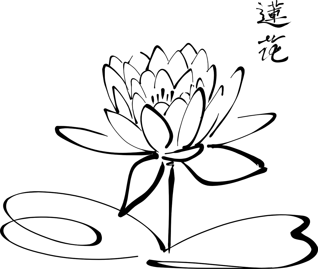 lotus haikus