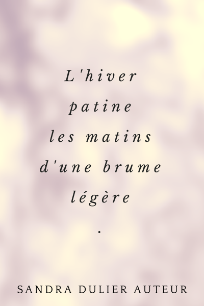 L'hiver patine les matins d'une brume légère. Citation poésie de Sandra Dulier