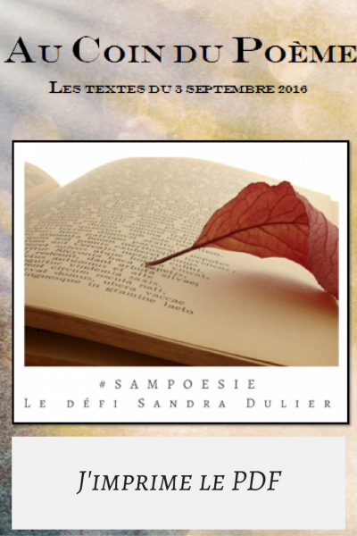 Imprimer le pdf sampoesie du defi poesie du 03 09 2016