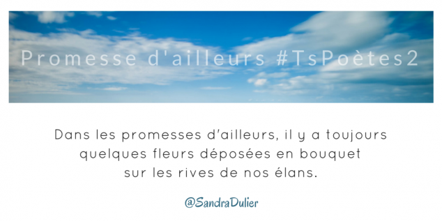 Découvrir le poème réalisé à partir des tweets proposés par les 24 participants de notre belle Francophonie pour le défi #TsPoètes2 sur http://www.sandradulier.com/blog/promesses-d-ailleurs-le-poeme-tspoetes2.html