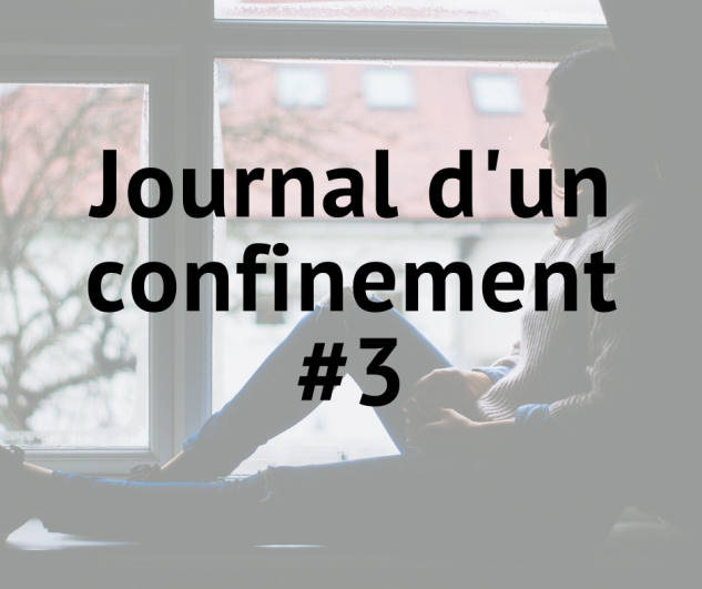 Ma maison - Journal d un confinement 3